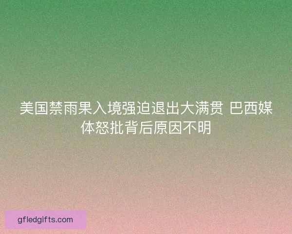 美国禁雨果入境强迫退出大满贯 巴西媒体怒批背后原因不明