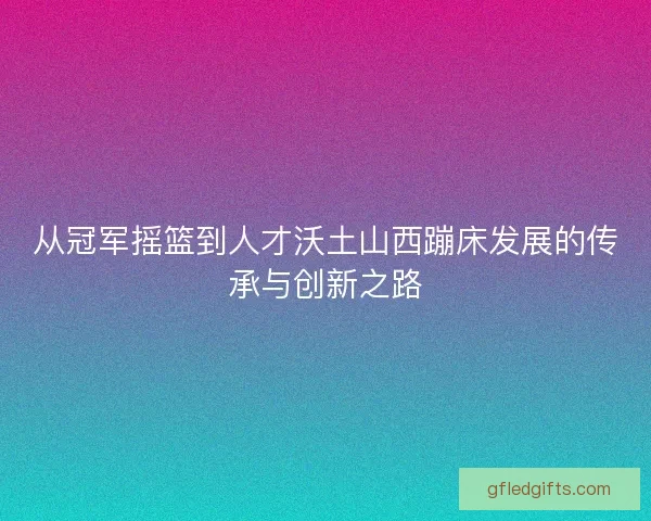 从冠军摇篮到人才沃土山西蹦床发展的传承与创新之路